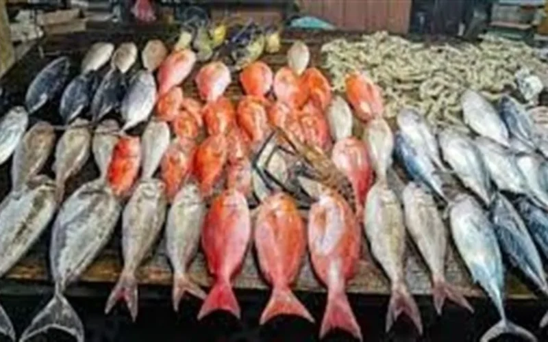 أسعار السمك في سوق العبور اليوم تشغل المشترين والبائعين